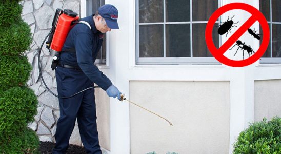 Kağıthane Sivrisinek İlaçlama böcek ilaçlama ve haşere kontrolü — ilaclama-tr.com